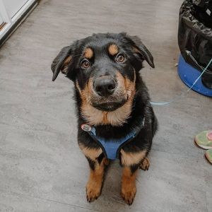 Meet your Posher, Kayla